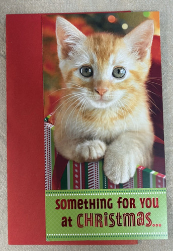 Hallmark money gift card - hallmark, money/gift