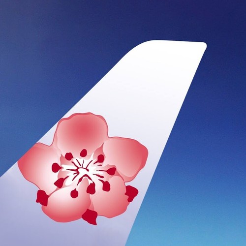 China airlines 100 - airlines, $100