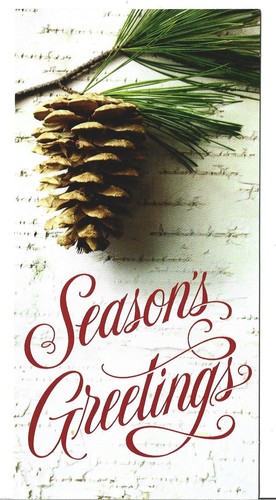 New christmas card 5x7 money - new,